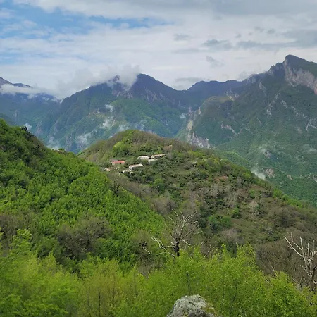 ゲストハウス Zgiboza Moll' e Shoshit