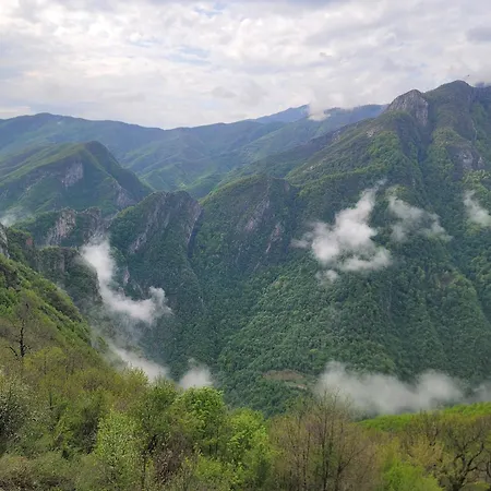 Zgiboza ゲストハウス