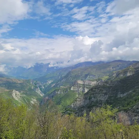 ゲストハウス Zgiboza Moll' e Shoshit