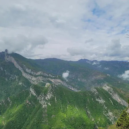 ゲストハウス Zgiboza Moll' e Shoshit