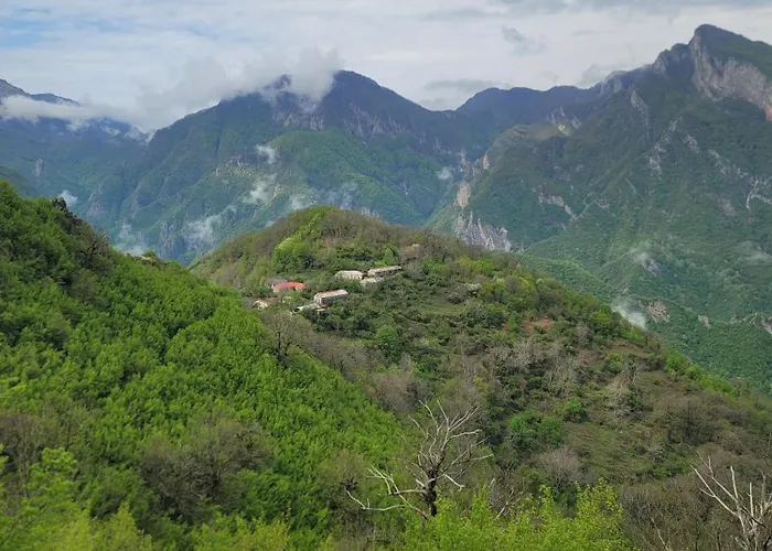 ゲストハウス Zgiboza Moll' e Shoshit