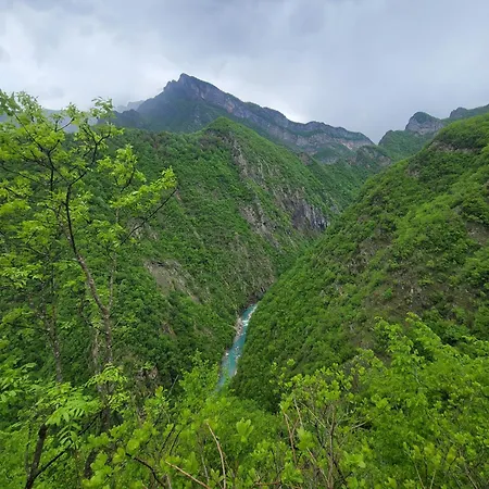 Maison d'hôtes Zgiboza